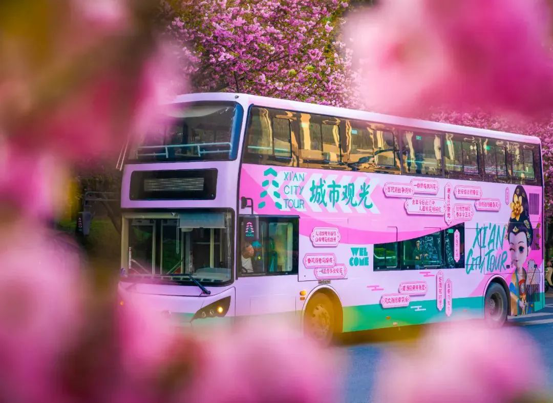 城市觀光車(chē).jpg