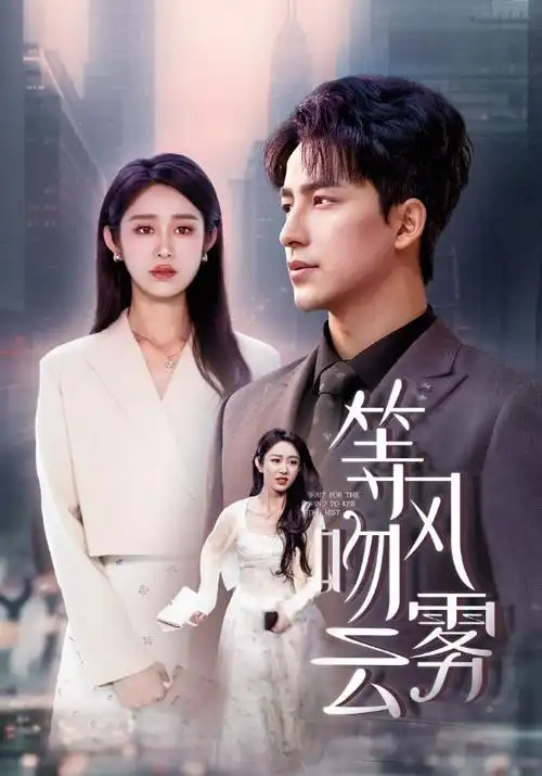玫瑰的故事 都市情感电视剧海报